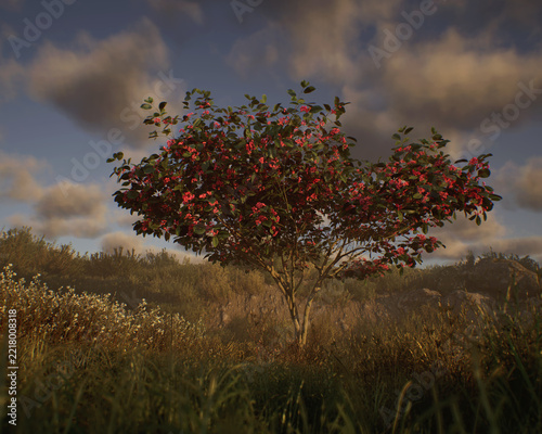 Blossoming european spindle tree in a hilly misty meadow with tall grasses and plants under a cloudy sky. 3D render.