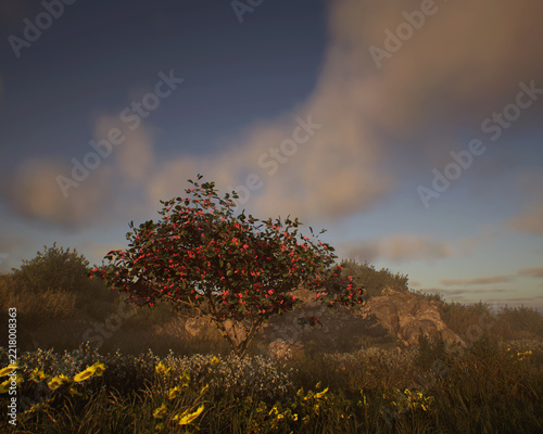 Blossoming european spindle tree in a hilly misty meadow with tall grasses and plants under a cloudy sky. 3D render.
