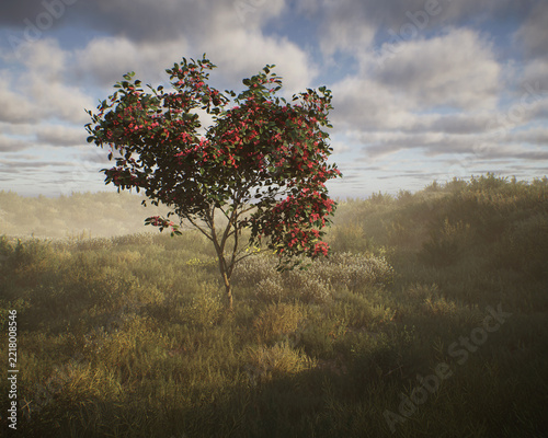 Blossoming european spindle tree in a hilly misty meadow with tall grasses and plants under a cloudy sky. 3D render.