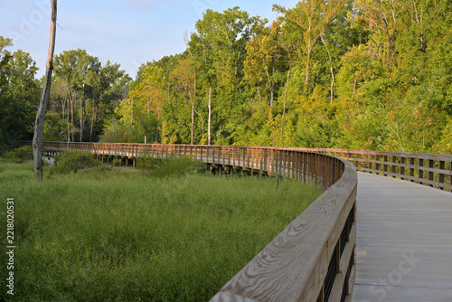 Obraz na plátně Elevated Wooden Boardwalk Greenway Path Winding Across Wetland Forest