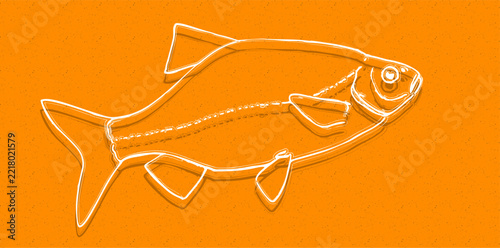 Common Rudd (Scardinius erythrophthalmus) white line art fish illustration on orange speckled background