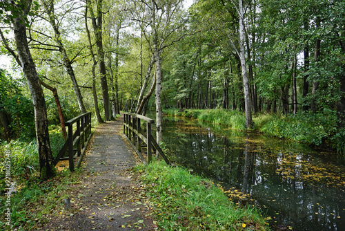 Wasserlauf, Kanal mit Holzbrücke im Spreewald, Spaziergang durch die Natur im Herbst