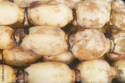 Lotus roots background, Asian food.