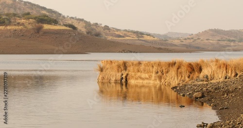 Wooden Ramp in a pond
