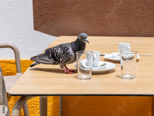 Eine Taube bedient sich auf dem Tisch eines Lissabonner Lokals an den zurückgelassenen Krümeln vom Kuchen