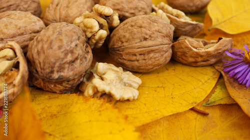 Walnuts on yellow leaves with a flower, showing autumn details in nature