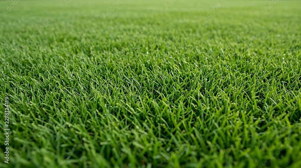 Fototapeta premium Close up vibrant green grass field for outdoor branding and nature