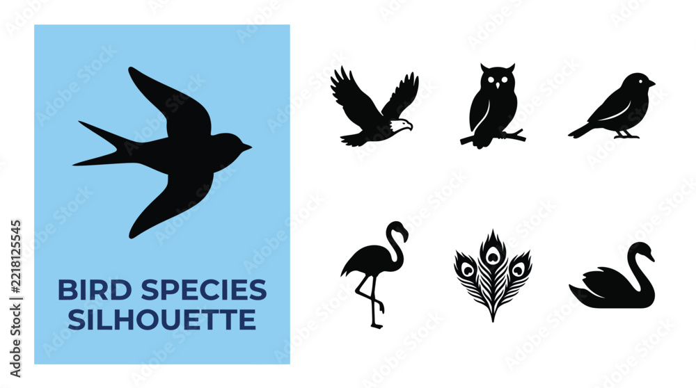 Fototapeta premium Collection of black silhouettes of different bird species isolated on white background