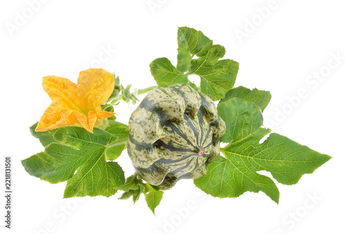Decorative gourds and squash arranged with leaves on isolated white background