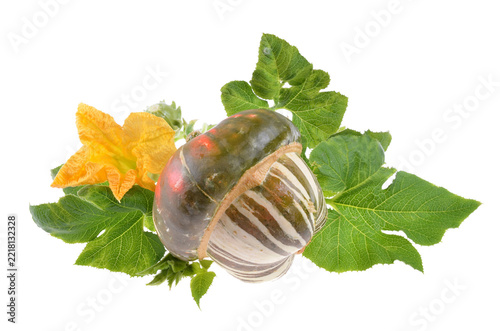 Decorative gourds and squash arranged with leaves on isolated white background