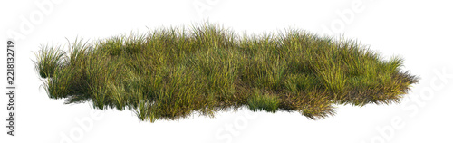 carex obnupta and imperata cylindrica rubra clump (slough sedge, japanese blood grass, red baron) isolated PNG on a transparent background premium nature cutout
