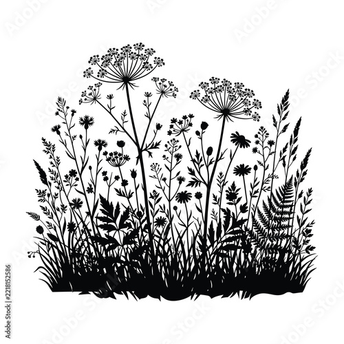 Wildflower Meadow Silhouette Black and White Ink Sketch Botanical Plant Design
