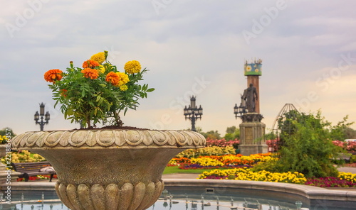 Flowers in a stone vase against a cloudy sky.