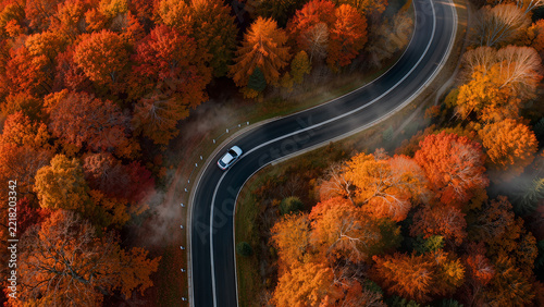 Aerial top down drone view of winding road in autumn forest