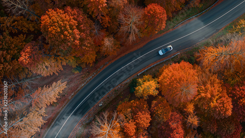 Aerial top down drone view of winding road in autumn forest