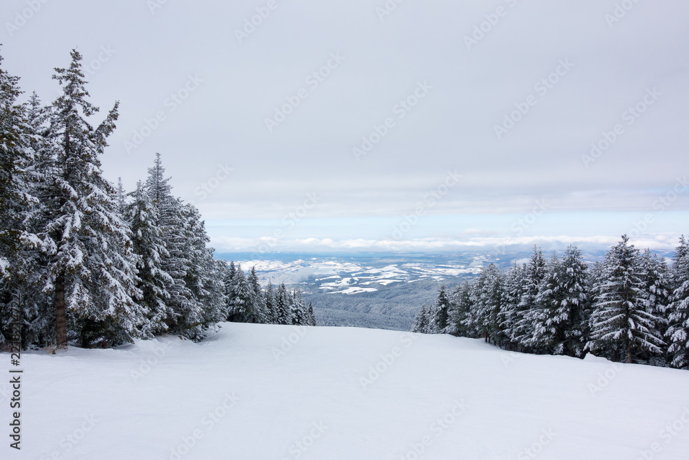 Fototapeta premium Gorgeous landscape on the slopes of Borovets ski resort, Bulgaria, a popular winter destination