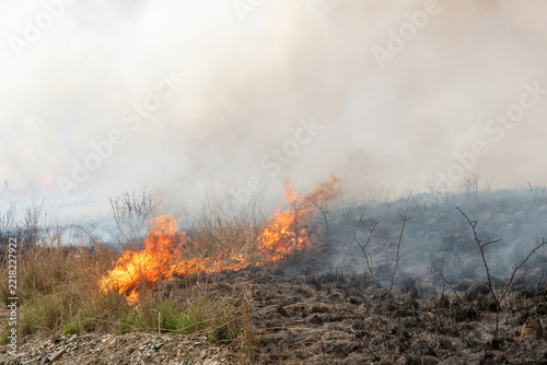 A controlled burn or prescribed fire in dry natural bushveld for conservation management, South Africa