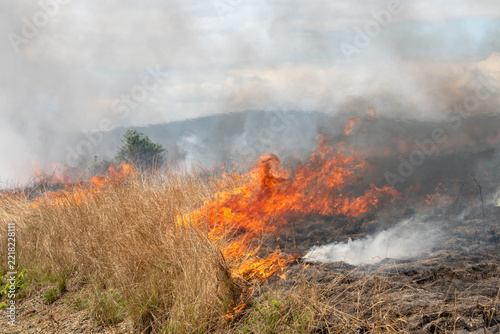 A controlled burn or prescribed fire in dry natural bushveld for conservation management, South Africa