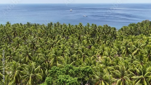 Coconut palms wave in a the breeze along the beautiful coastline of Maju Island in the Molucca Sea, Indonesia. A rugged, rocky reef surrounds this tropical paradise which few people ever visit.