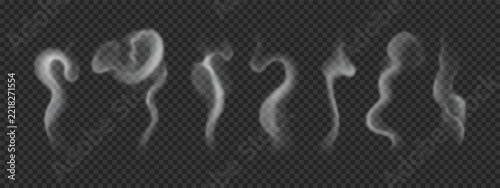 Set of smoke from hot food, coffee, tea. Vector wavy steam isolated on transparent background