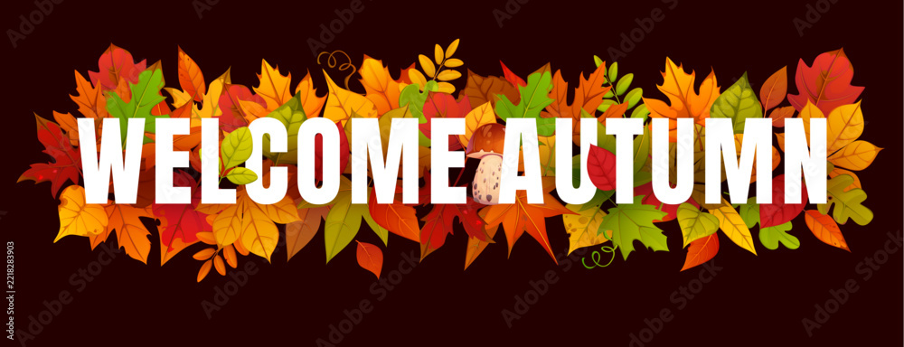 Fototapeta premium Hello welcome autumn banner, invitation card, cover and poster, advertising banner, placard or flyer. Vector seasonal typography with fall foliage of red, orange, yellow and green leaves and mushrooms