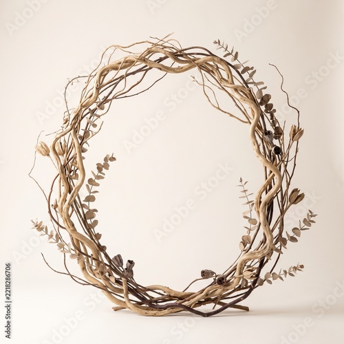 Curved dried botanical branches arranged as an elegant decorative frame