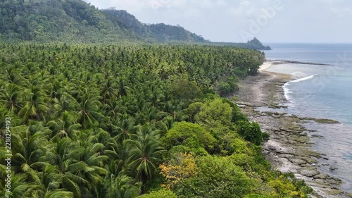 Coconut palms wave in a the breeze along the beautiful coastline of Maju Island in the Molucca Sea, Indonesia. A rugged, rocky reef surrounds this tropical paradise which few people ever visit.