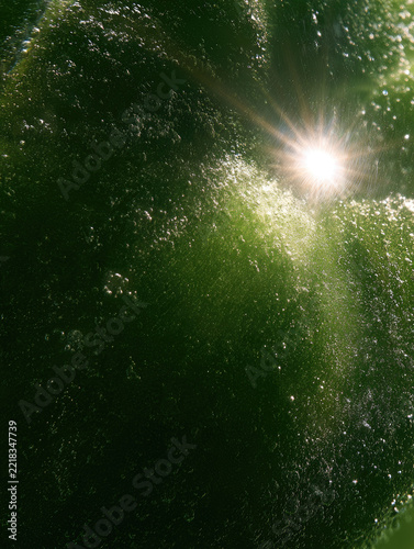 Sunlight refracting through curved glass with textured green surface, sparkling highlights, deep shadow, and abstract macro texture create natural atmospheric composition