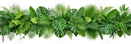 A Lush Garland of Assorted Tropical Green Leaves.