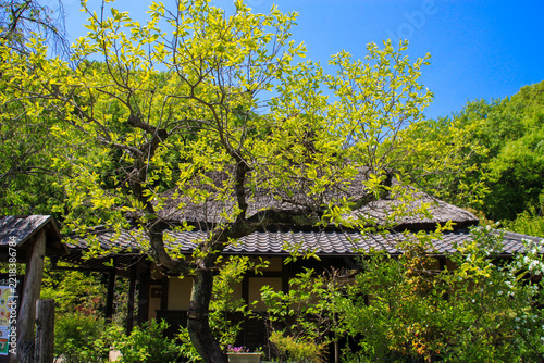 日本昭和村