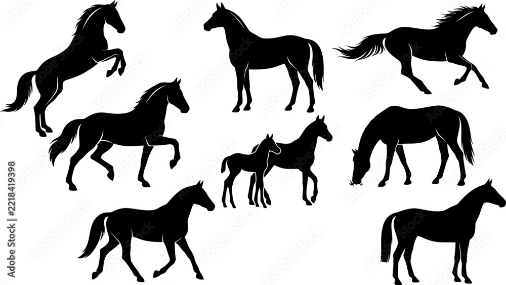 Obraz premium Black horse silhouettes depict various equestrian poses against a white background