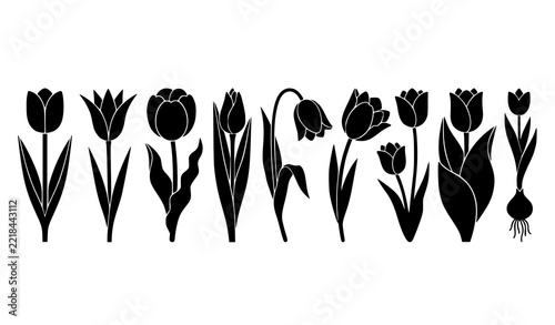 Minimal tulip flower silhouette icons with buds leaves stems and botanical shapes