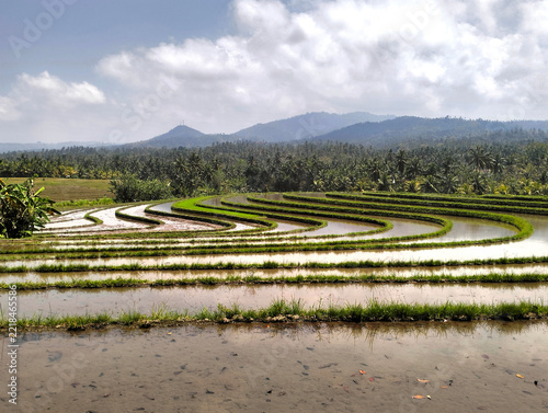 Beautiful rice terrace, Location, Soka - Tabanan Regency - Bali, Indonesia