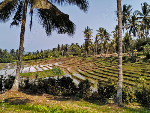 Beautiful rice terrace, Location, Soka - Tabanan Regency - Bali, Indonesia