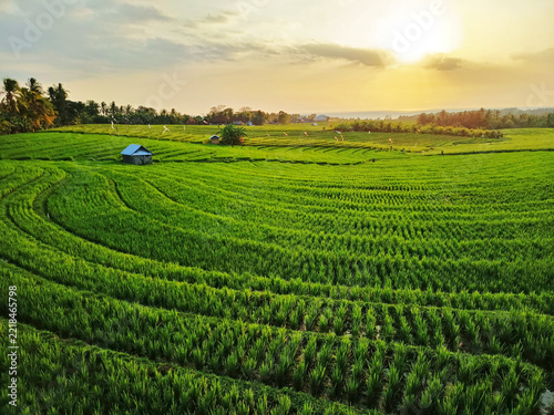 Beautiful rice terrace, Location, Soka - Tabanan Regency - Bali, Indonesia