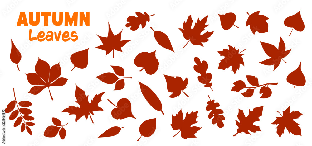 Fototapeta premium Autumn forest leaves silhouettes set on white background. Orange silhouettes of maple, oak, chestnut, birch, rowan tree leaves for laser cutting templates, print patterns and educational worksheets