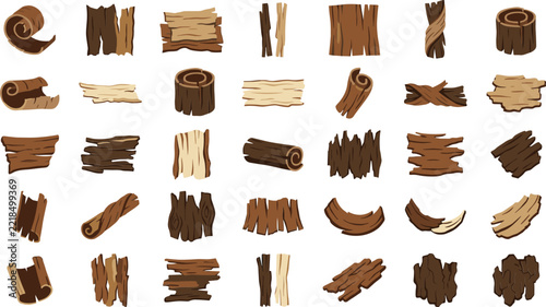 Set of bark texture samples and wood material slices for natural forest surface design and graphic backgrounds