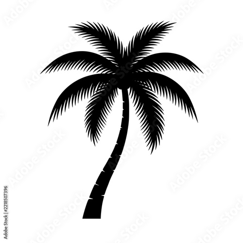 Black palm tree silhouette tropical vector