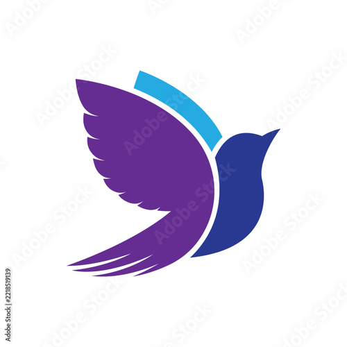 Abstract Flying Bird Logo Design