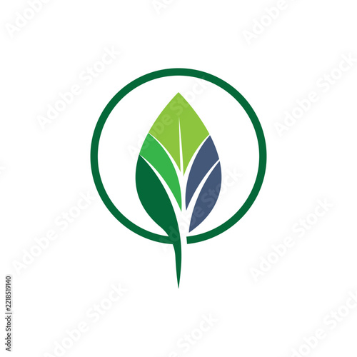 Minimalist Leaf Icon in a Circle