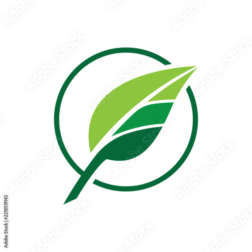 Minimalist Leaf Icon in a Circle