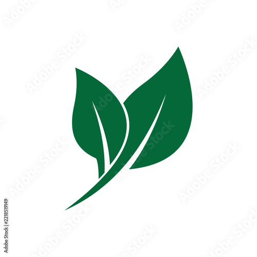 Minimalist Illustration of Green Leaves