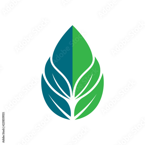 Minimalist Green Leaf Vector Illustration