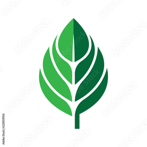 Minimalist Green Leaf Vector Illustration