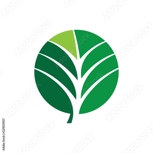 Abstract Circular Green Leaf Logo Design
