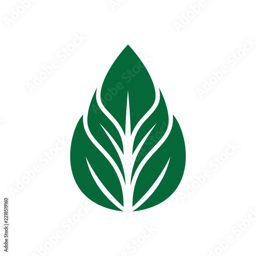 Minimalist Green Leaf Vector Illustration
