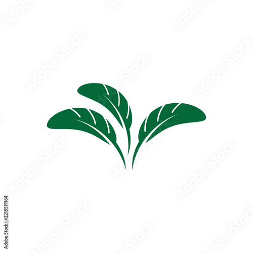 Minimalist Green Leaf Vector Illustration
