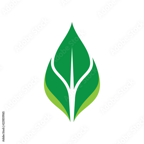Minimalist Green Leaf Vector Illustration