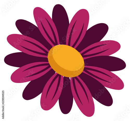 Purple daisy flower illustration