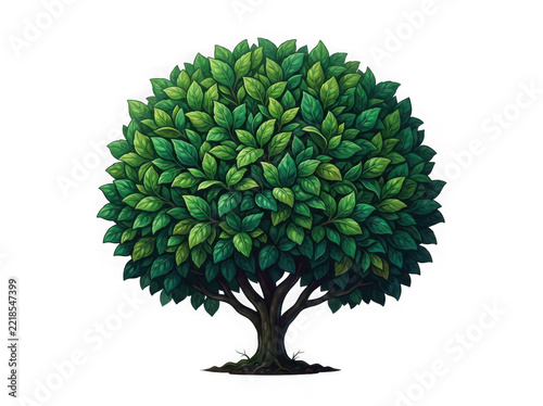 Round green tree isolated on transparent background